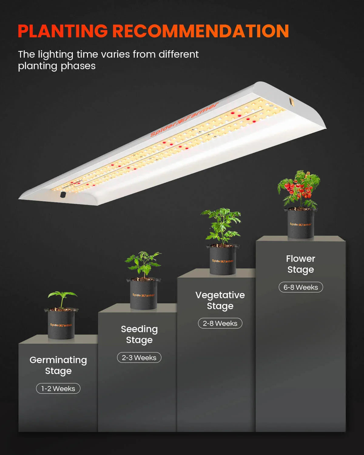 Spider Farmer 33W LED Grow Light SF300