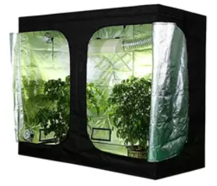 PhytoBrite Grow Tent 240*120*200cm