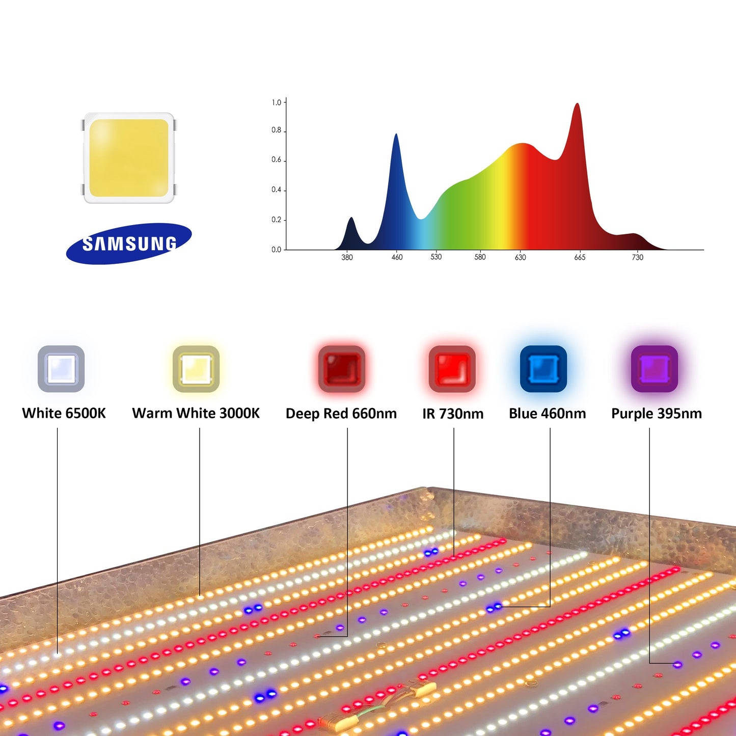 PhytoBrite 320W Quantum Board LED Grow Light