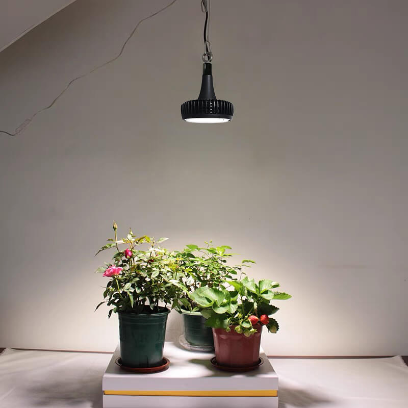 100W LED Grow Lights for House Plants Seedling