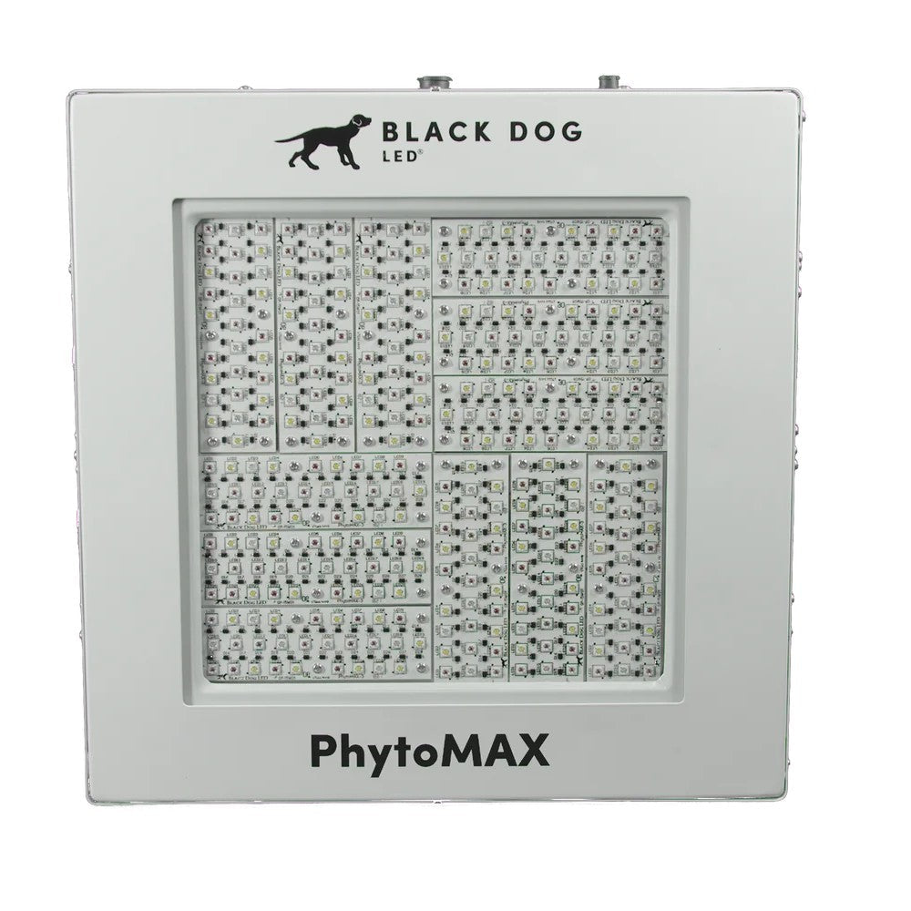 Black Dog 750W LED Grow Light PhytoMAX-4 12S