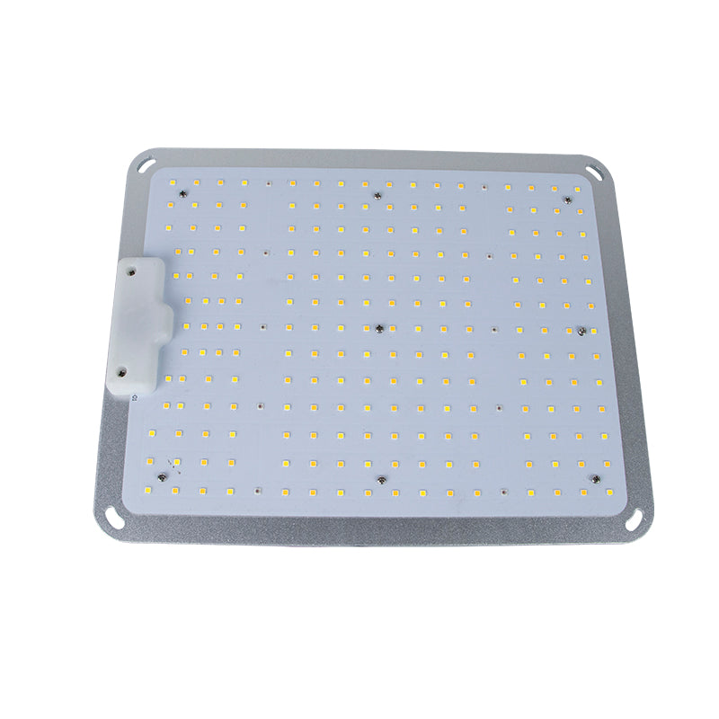 100W LED Grow Light Full Spectrum for Seedlings