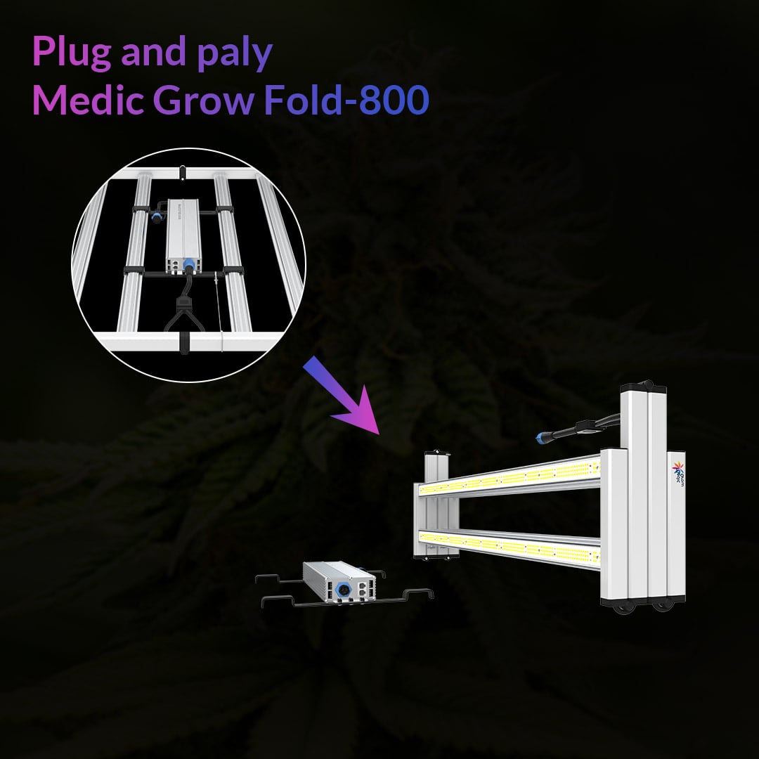 800W LED Grow Light Full-Spectrum