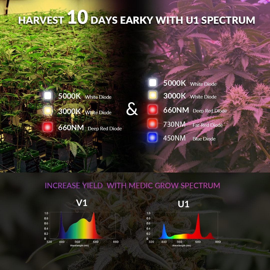 800W LED Grow Light Full-Spectrum