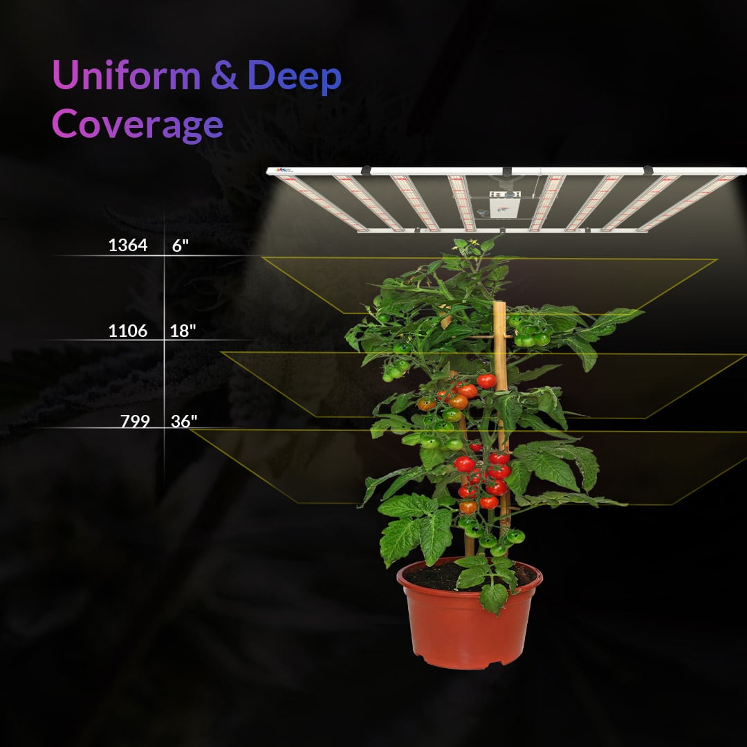 800W LED Grow Light Full-Spectrum