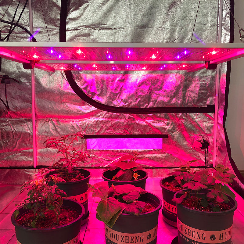 PhytoBrite 650W Quantum Board Led Grow Light UV IR