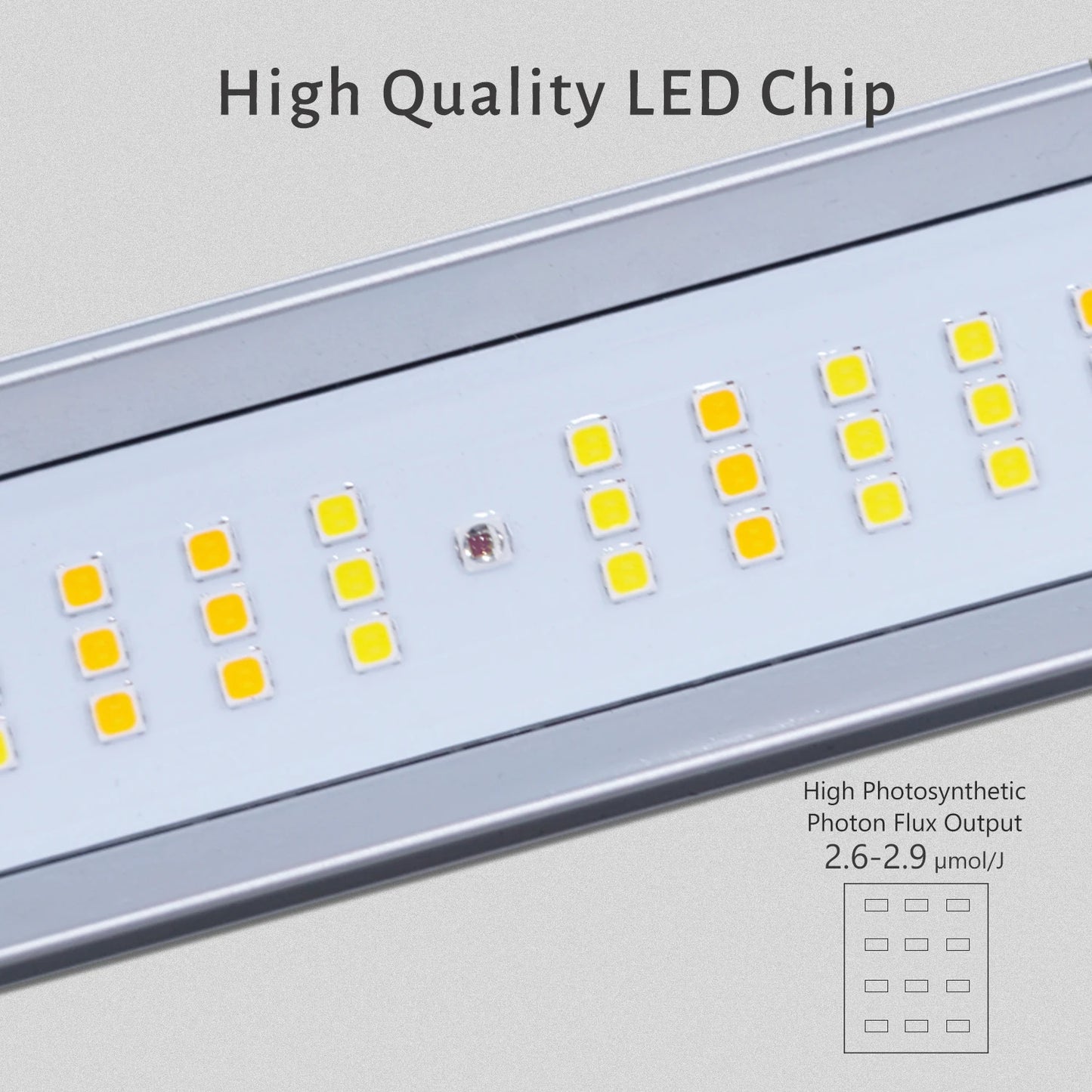 1000W Led Grow Light Full Spectrum USA Thailand Warehouse