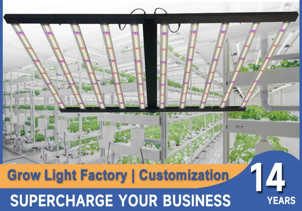 1000W Led Grow Light Full Spectrum Red Blue Foldable Dimmable 10 Bar For 8x6FT Indoor Greenhouse Grow Tents