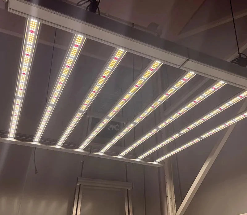 600W LED Grow Light Samsung Full Spectrum LM301H for Indoor Growing System