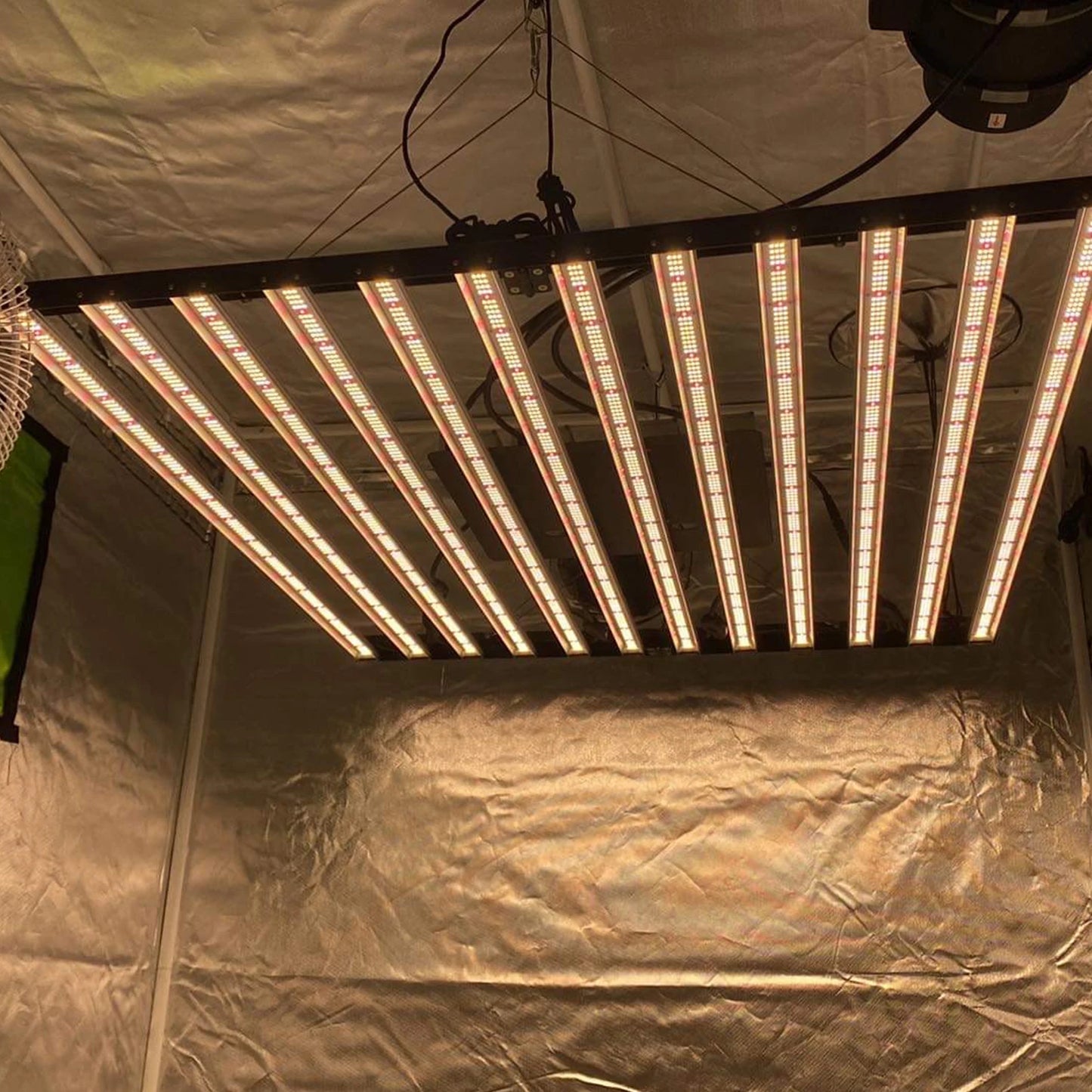 1000W Led Grow Light Full Spectrum USA Thailand Warehouse