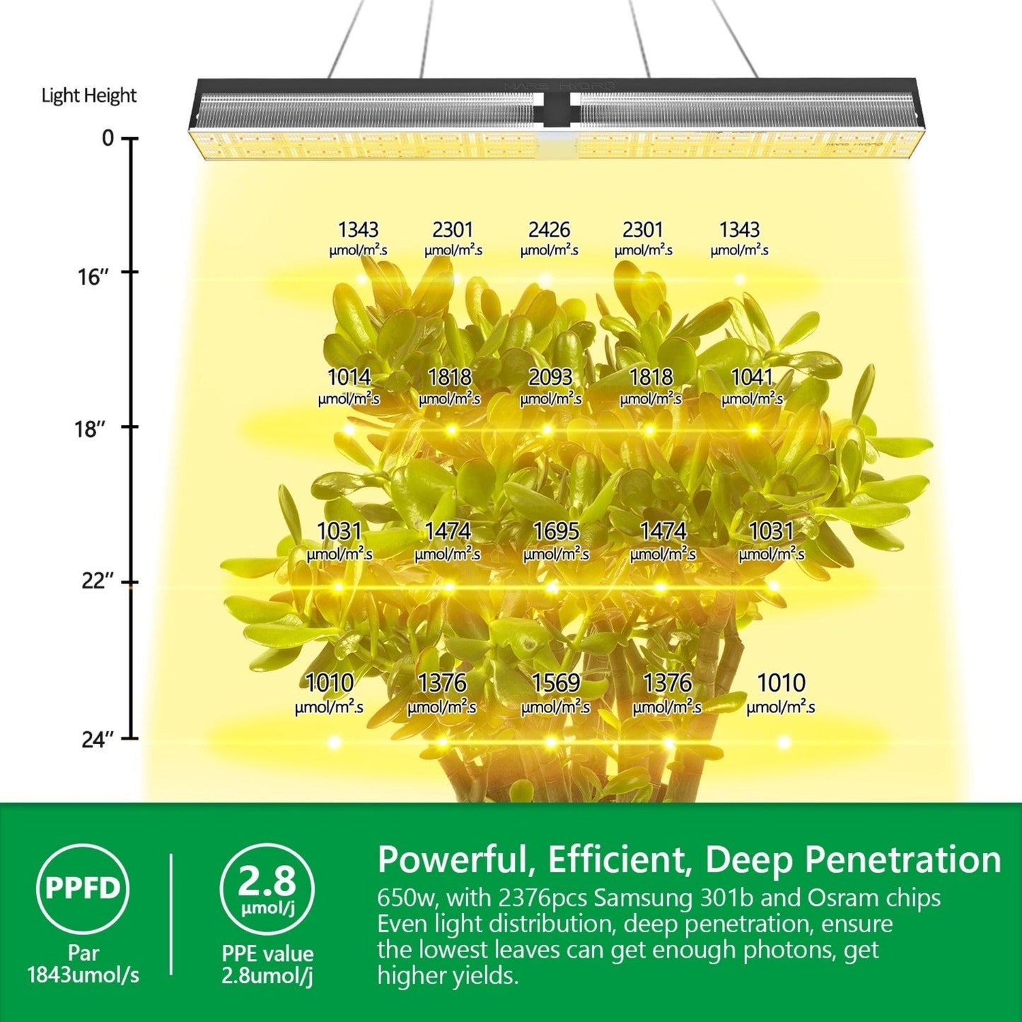 Mars Hydro 650W LED Grow Light SP6500