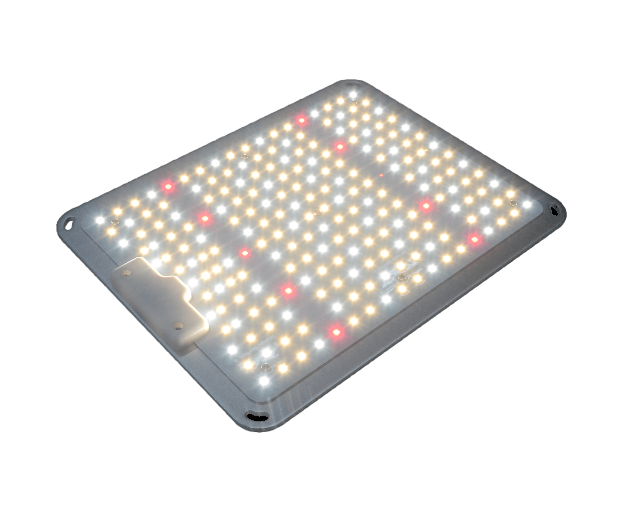100W LED Grow Light Full Spectrum for Seedlings