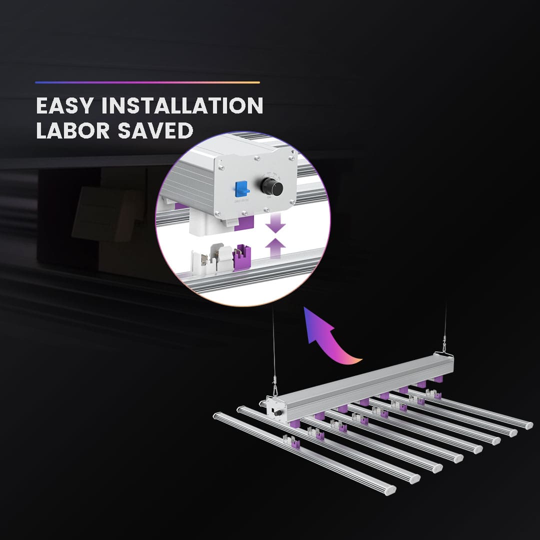 1000W LED Grow Light Full Spectrum Covering 5x5 / 6x6 Grow Tents
