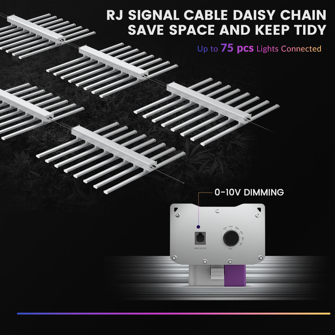 1000W LED Grow Light Full Spectrum Covering 5x5 / 6x6 Grow Tents