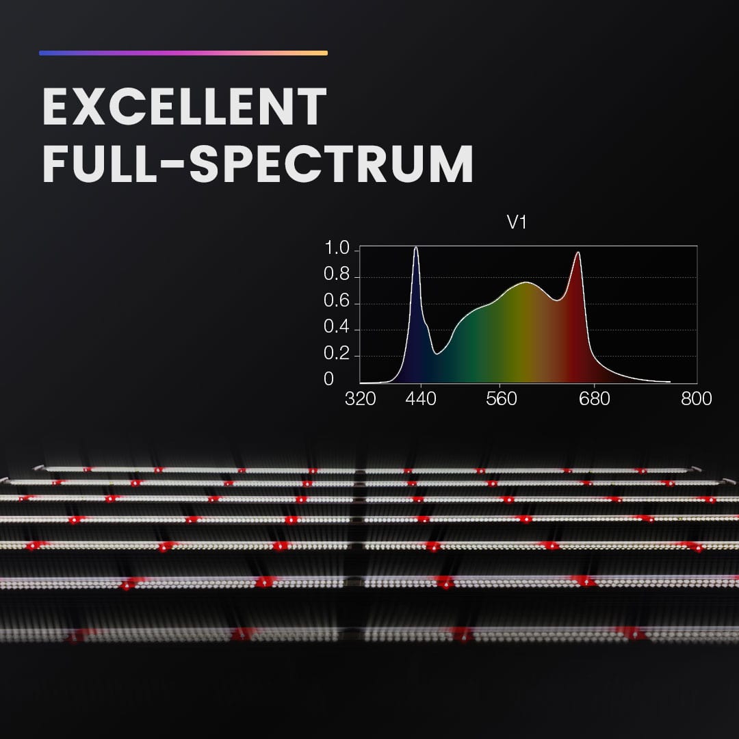 1000W LED Grow Light Full Spectrum Covering 5x5 / 6x6 Grow Tents