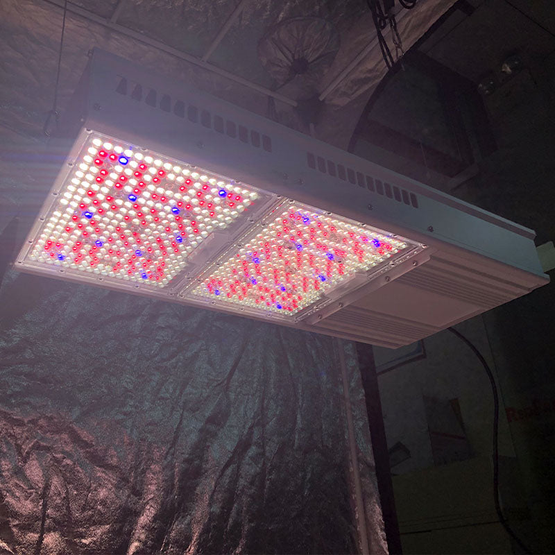 PhytoBrite 1930E 800W/1000W Led Grow Light Full Spectrum