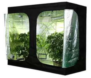 PhytoBrite Grow Tent 240*120*200cm 