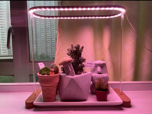 USB Grow Light for for Houseplants