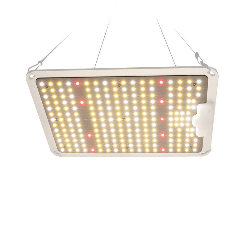 100W LED Grow Light Full Spectrum for Seedlings