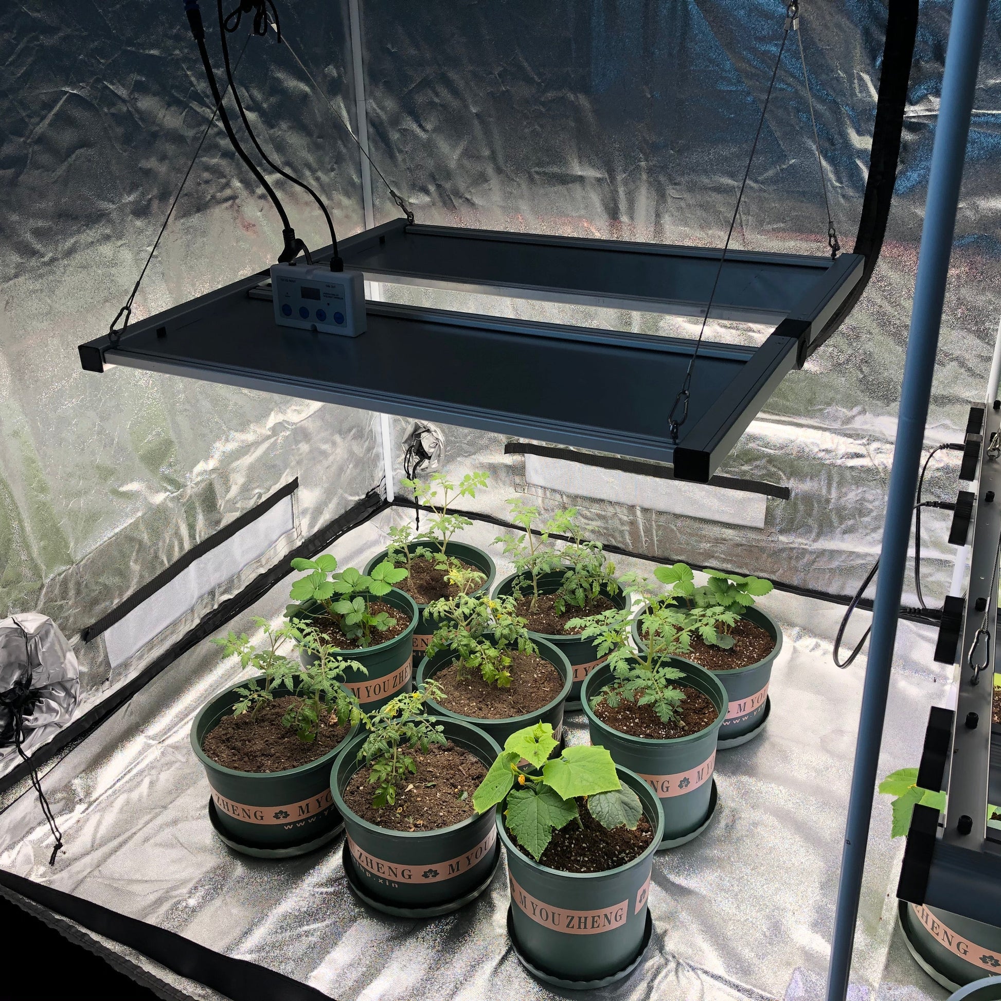 PhytoBrite 650W Quantum Board Led Grow Light  UV IR