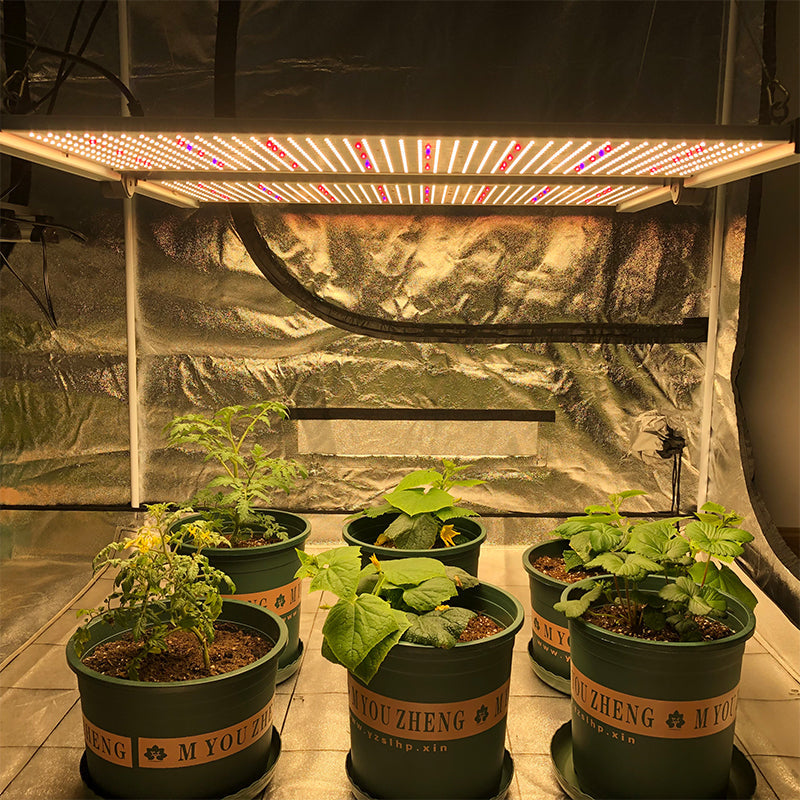 PhytoBrite 650W Quantum Board Led Grow Light  UV IR