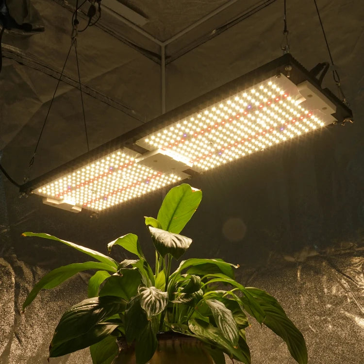 240W LED Grow Light Samsung LM301H UV IR for Veg and Bloom