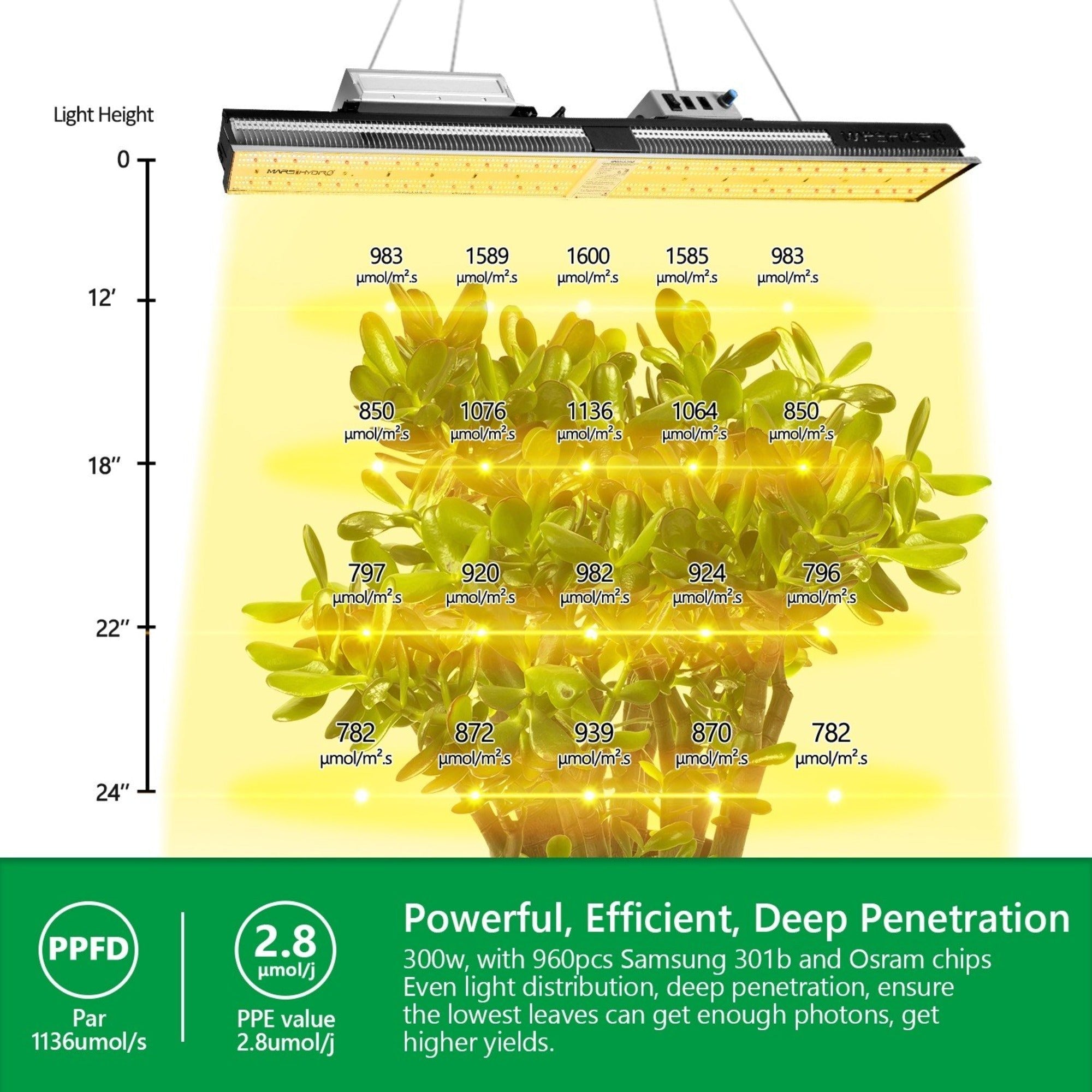 Mars Hydro 300W LED Grow Light SP3000