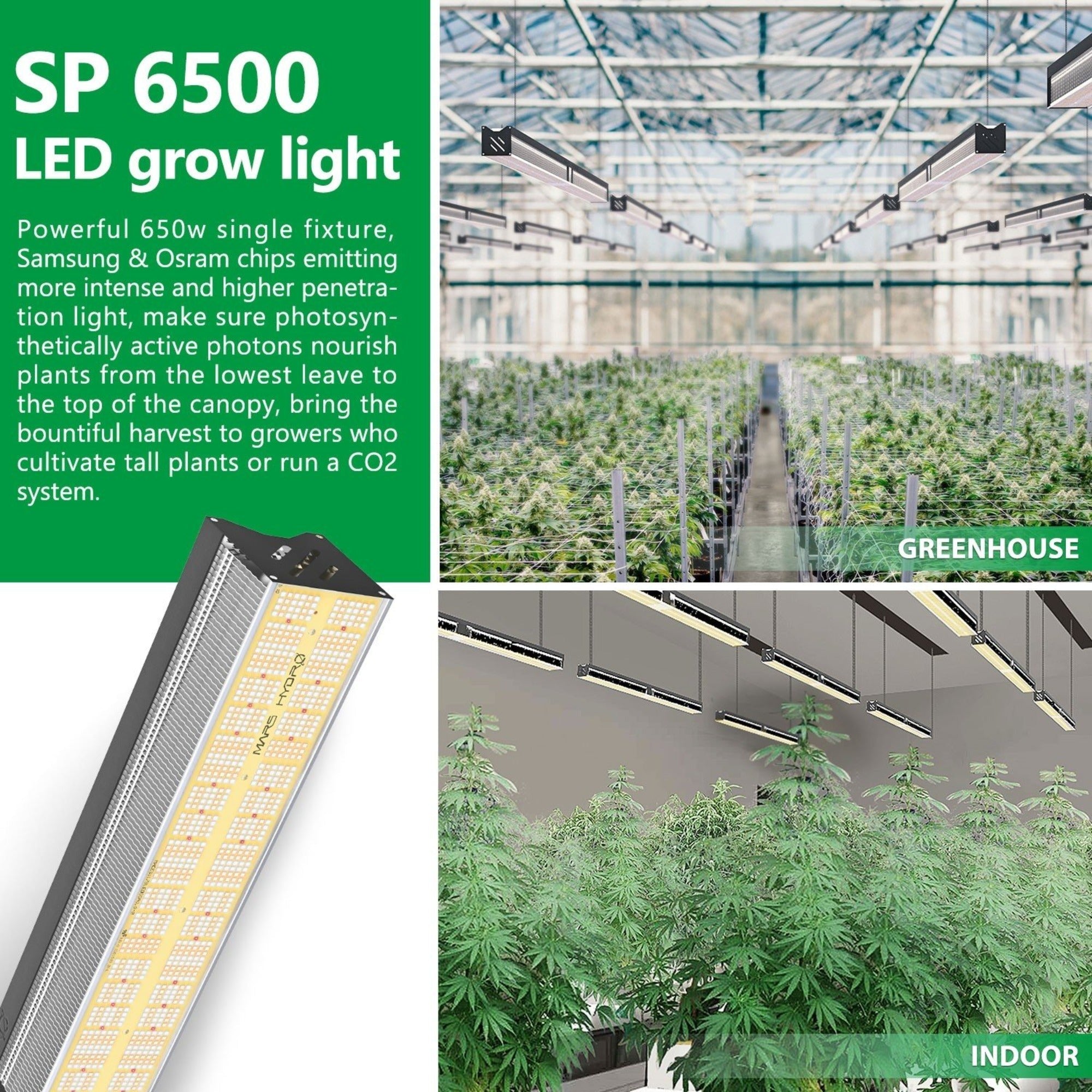 Mars Hydro 650W LED Grow Light SP6500